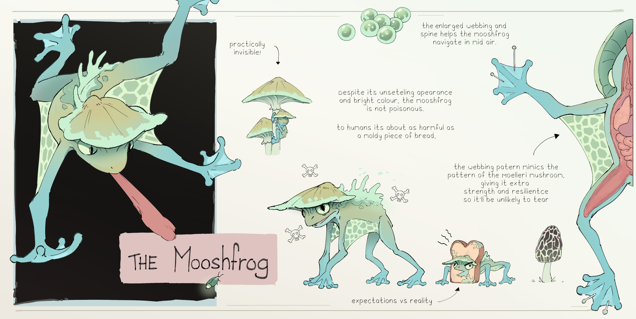 Mushroom Frog